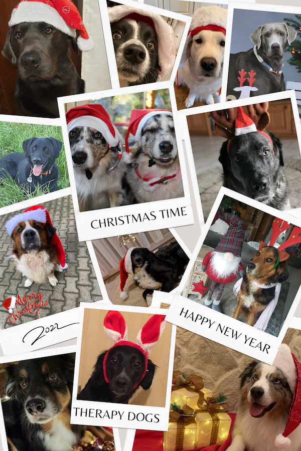 TH Weihnachtsgruss S