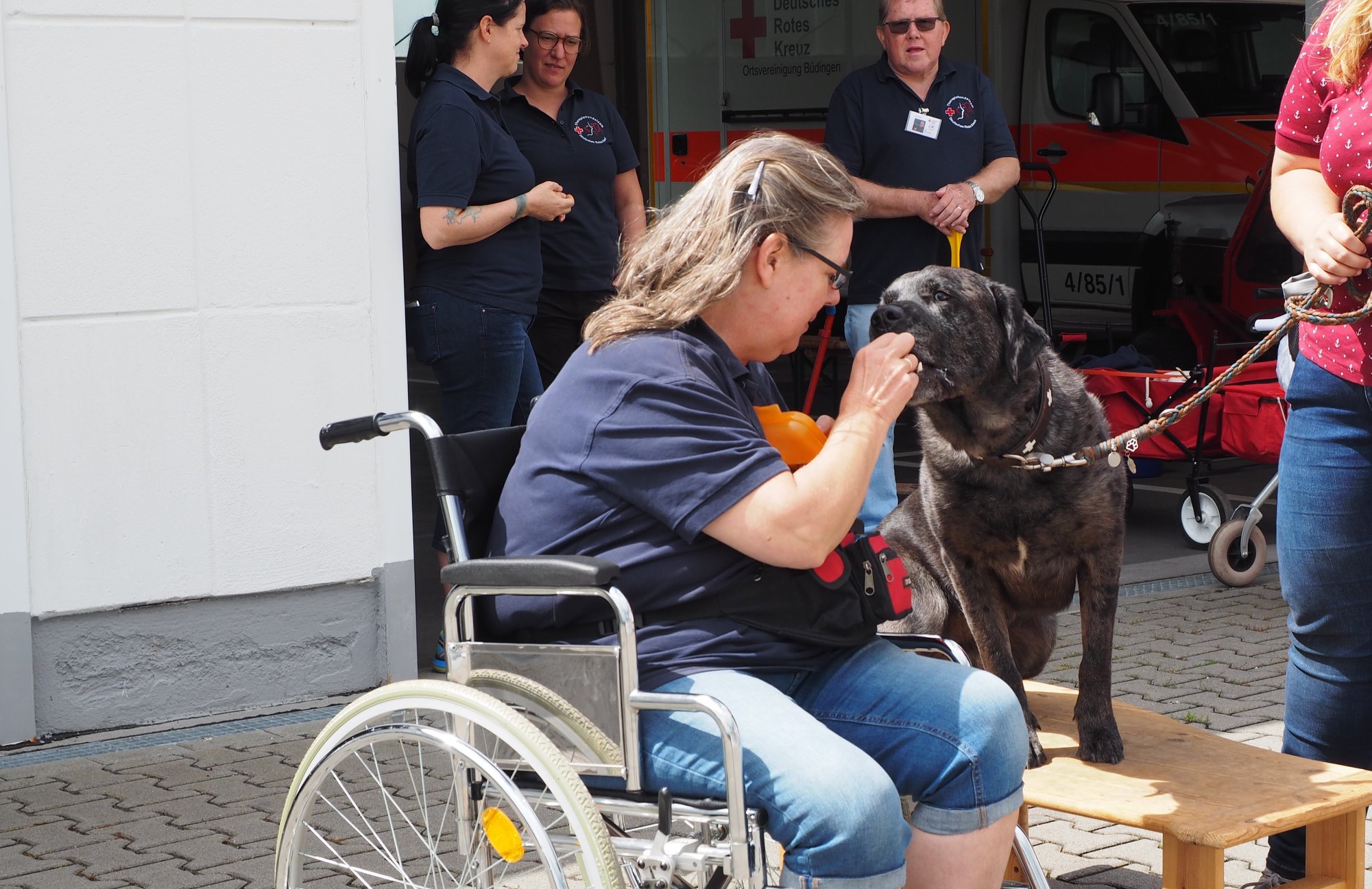 Therapiehunde_1.jpeg