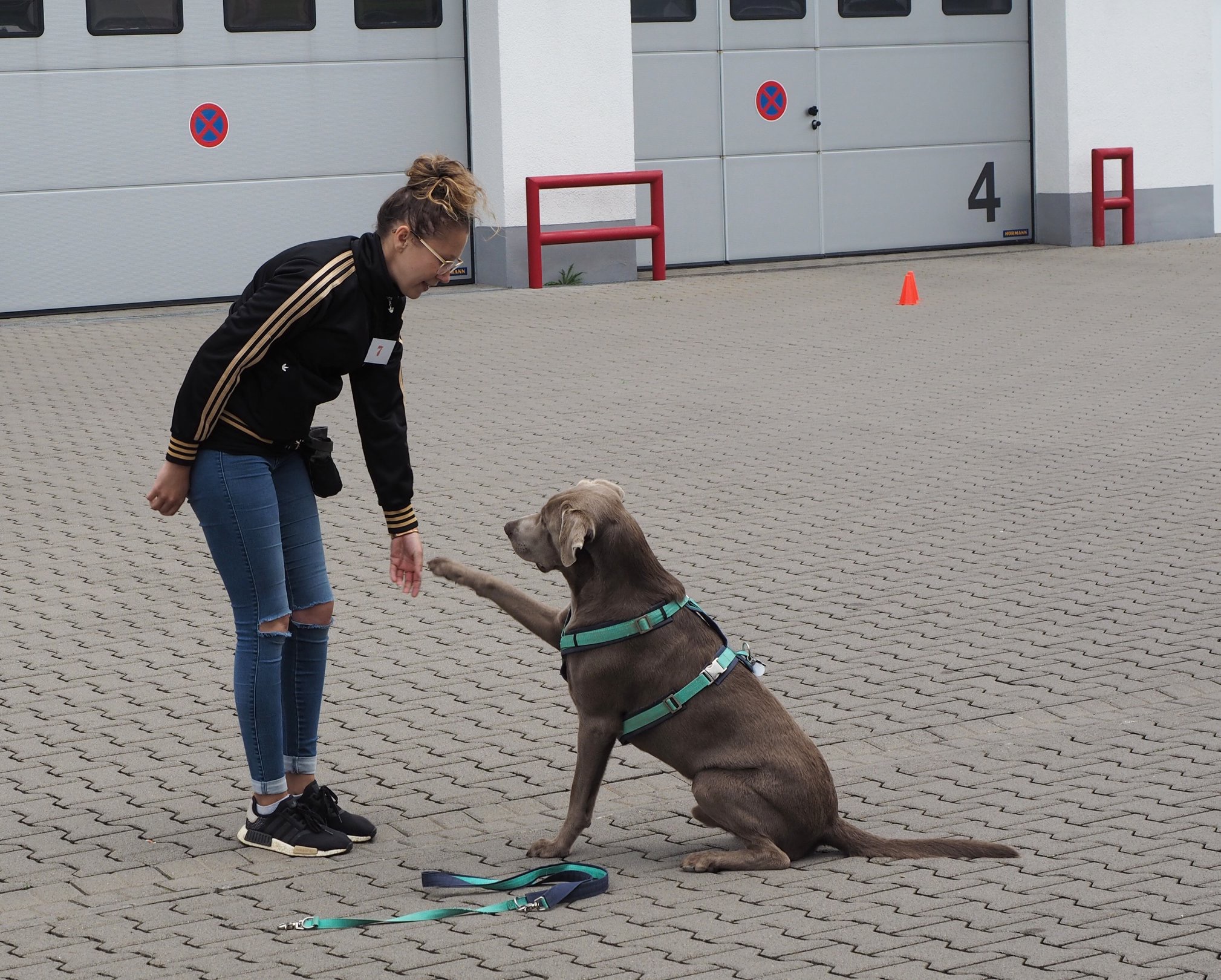Therapiehunde_2.jpeg