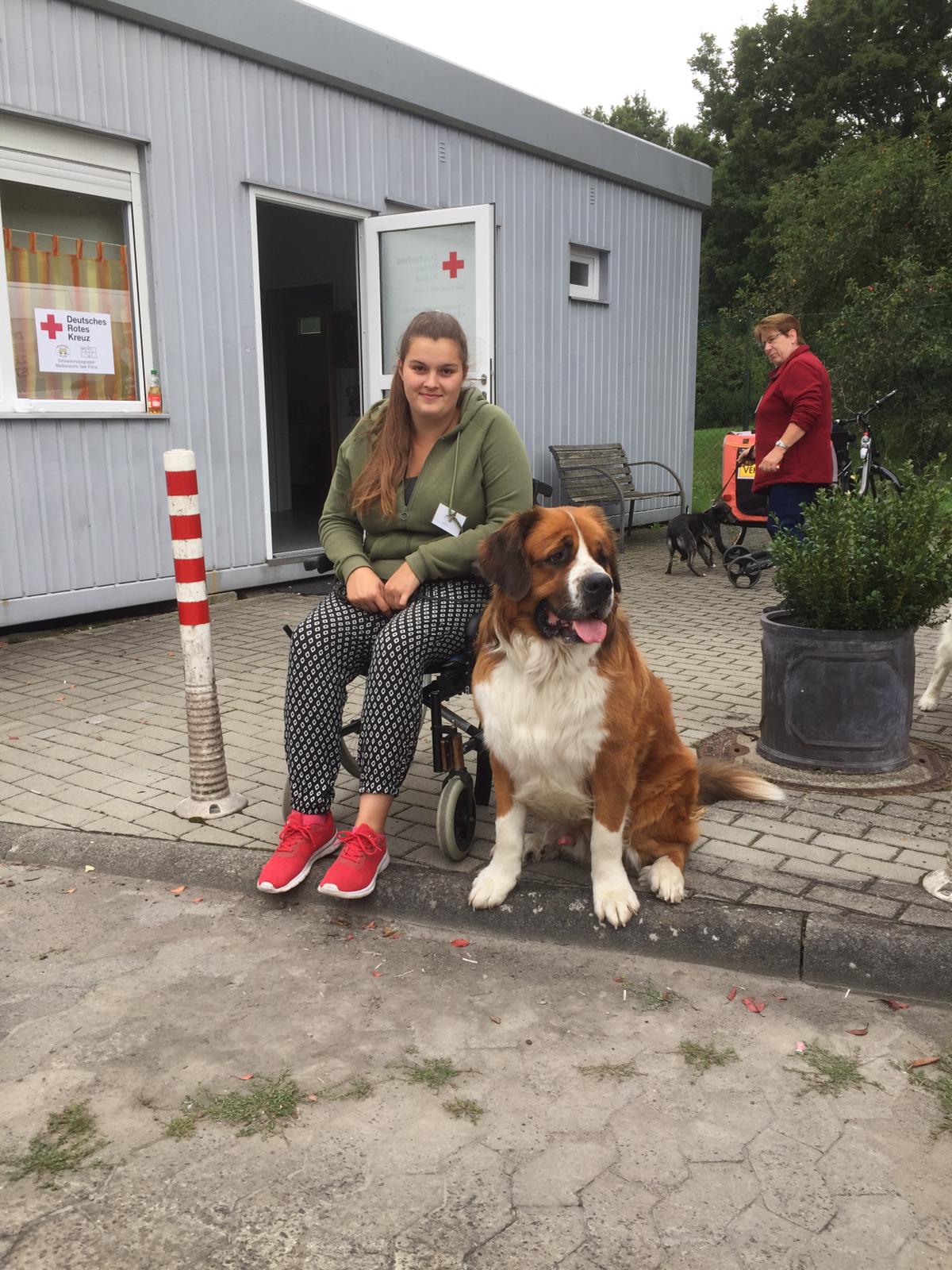 Therapiehunde_3.jpeg