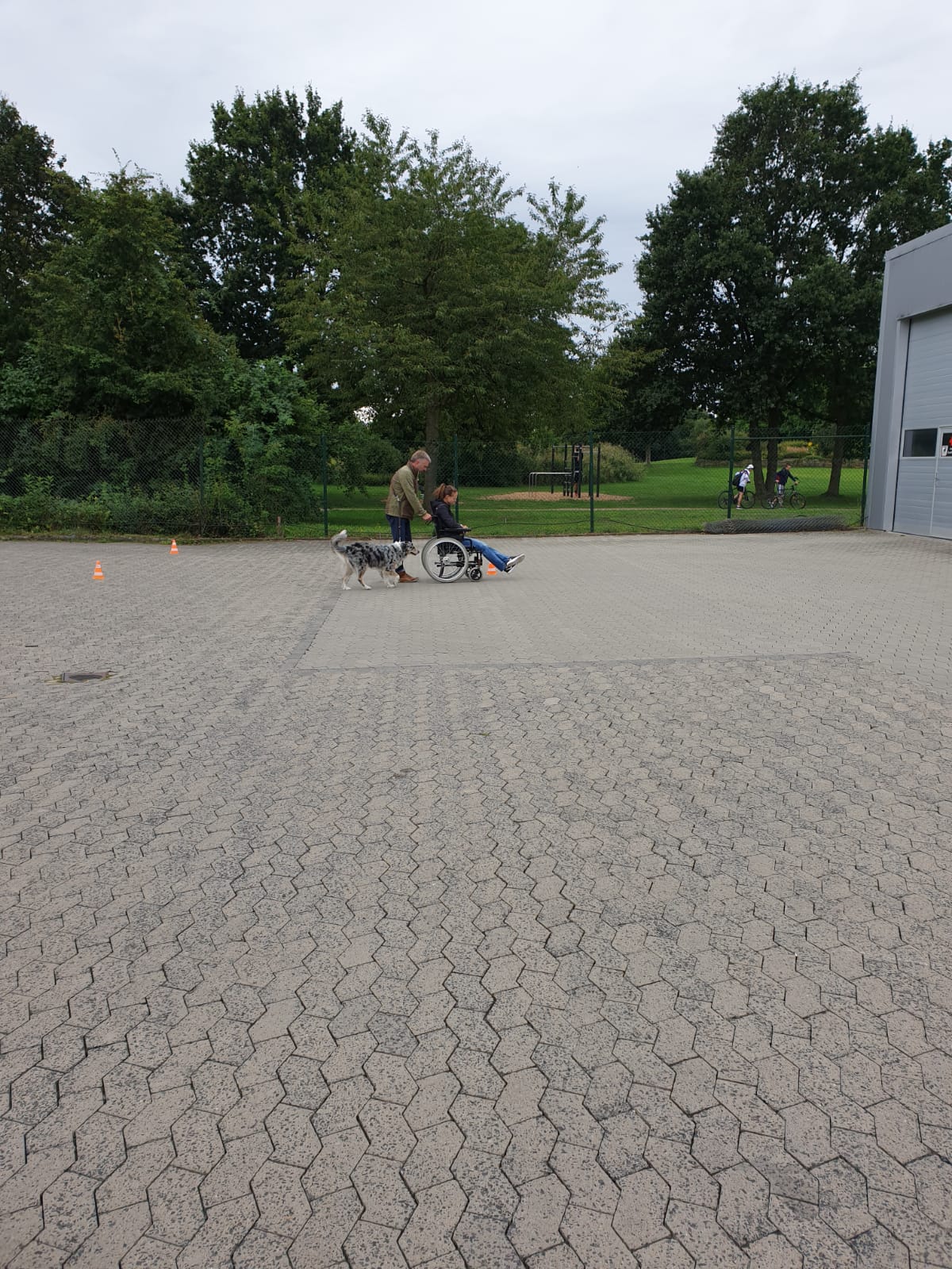 Therapiehunde_4.jpeg